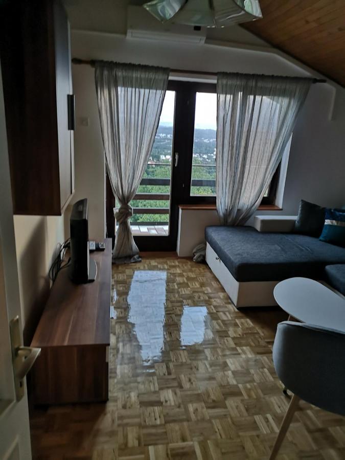 Apartment Gina Opatija Exterior photo